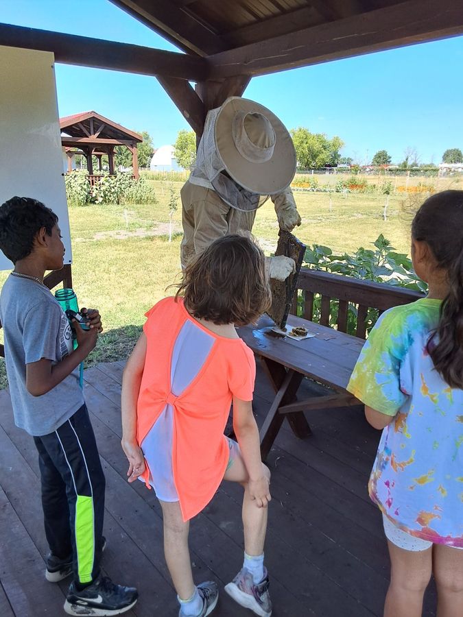 Children learning outdoors on Kid's Mondo 4-acre campus, placeholder
